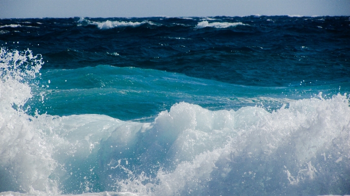 Beach sea coast water Photo