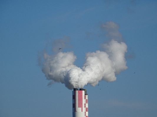 Cloud sky white steam Photo