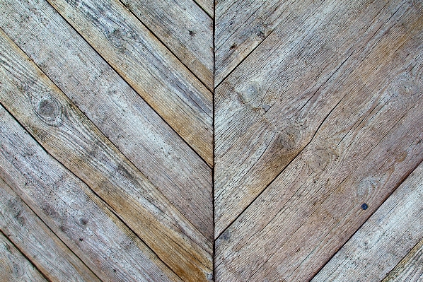 Structure wood ground grain Photo