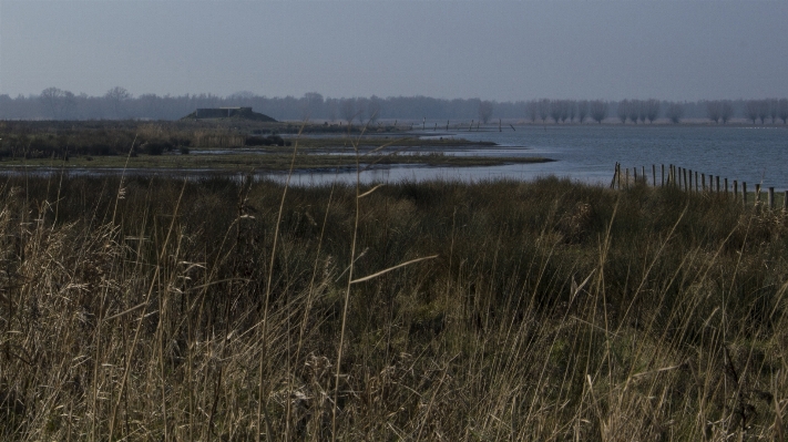 Landscape sea coast nature Photo