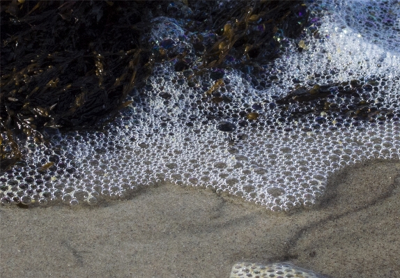 Beach sea coast water Photo