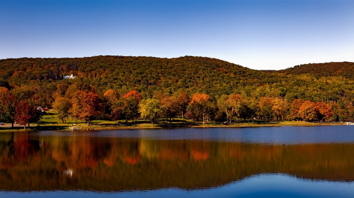 Landscape tree water nature Photo