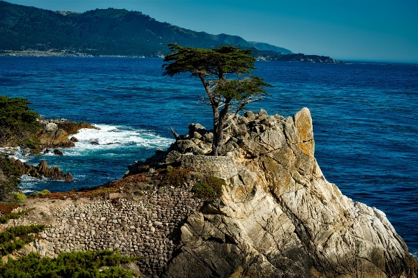 Beach landscape sea coast Photo