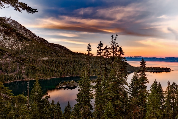 Landscape tree water nature Photo