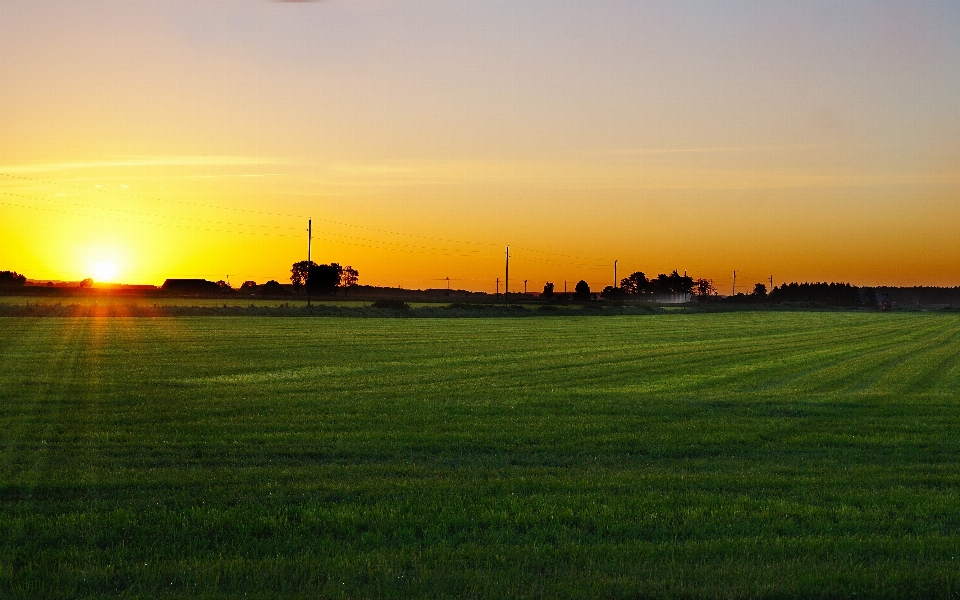 Nature grass horizon cloud