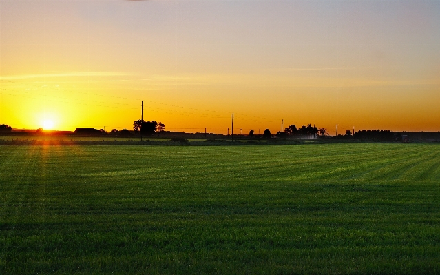 Nature grass horizon cloud Photo