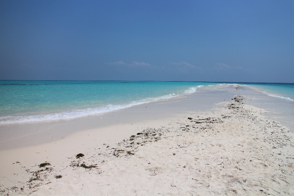 Spiaggia mare costa acqua