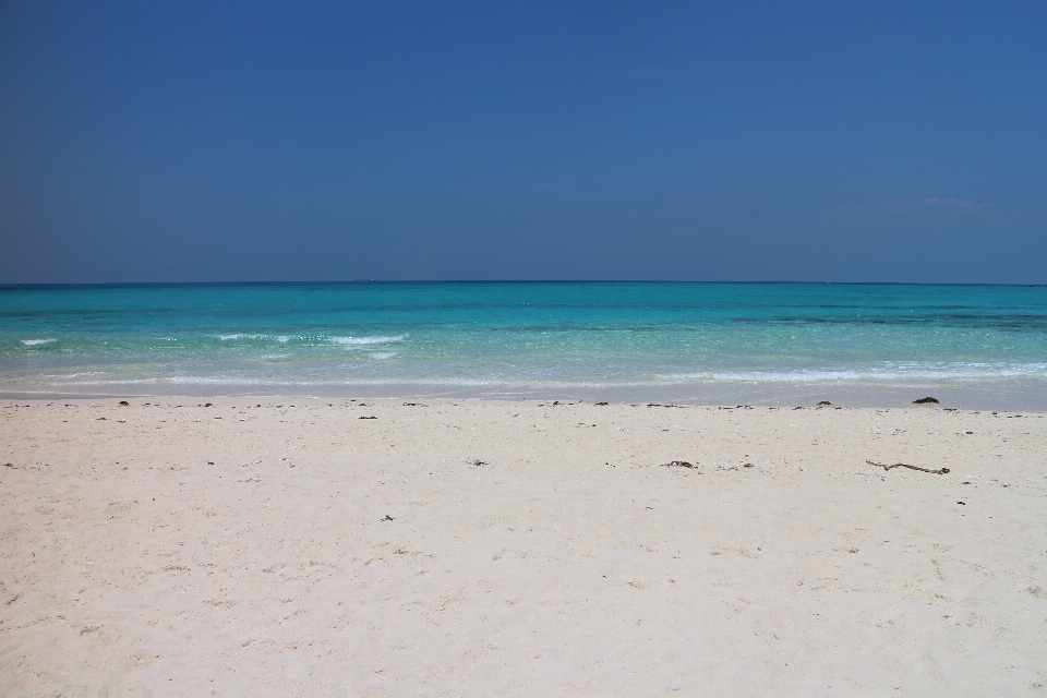 ビーチ 海 海岸 水