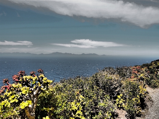 Beach landscape sea coast Photo