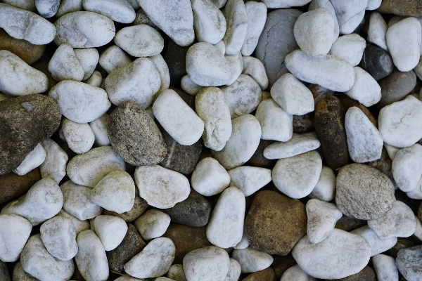 Beach rock white texture Photo