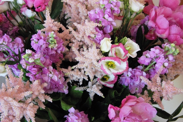 Blossom plant flower bouquet Photo