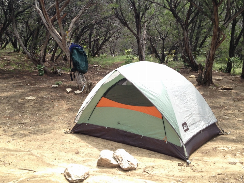 Camping tente en plein air communauté végétale
