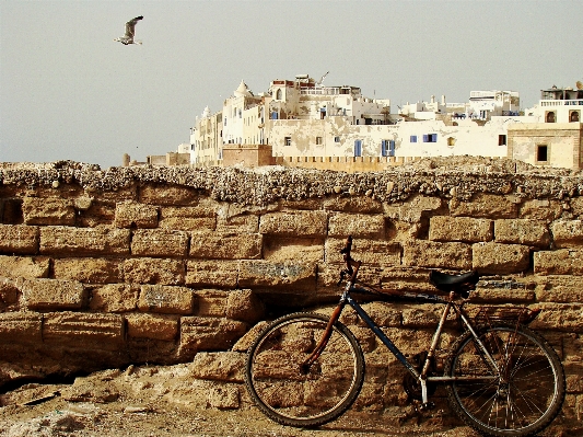 Beach sea coast water Photo