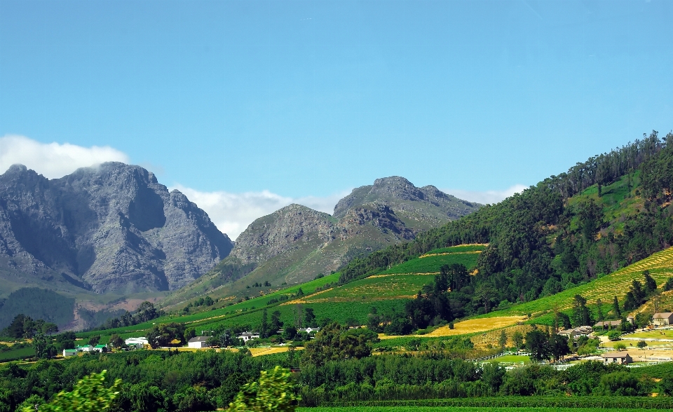 Lanskap alam gunung vine