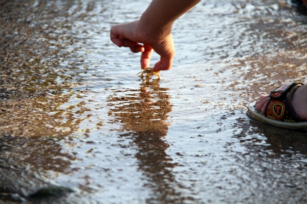 Beach water sand leg Photo