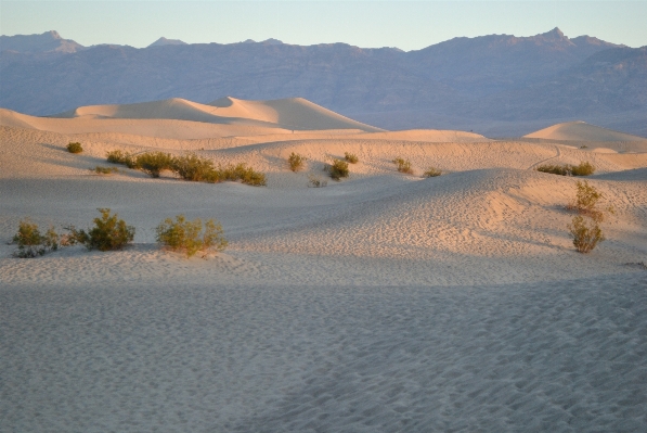 Landscape sand desert dune Photo