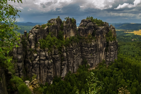 Landscape tree forest rock Photo