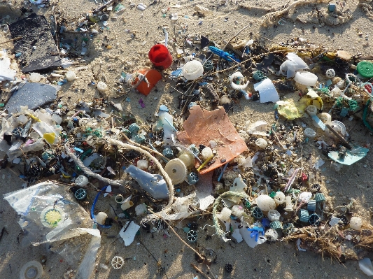 Foto Laut pesisir plastik lingkungan
