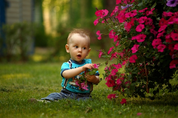 Grass person people plant Photo