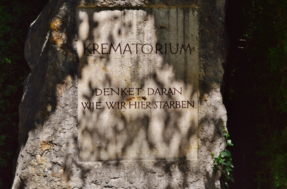 árbol rock muerte monumento