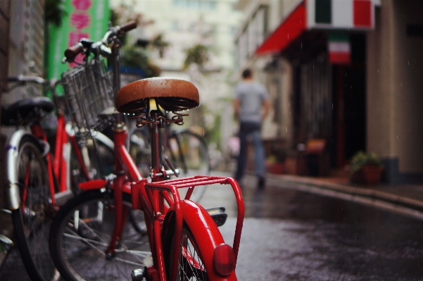 道 濡れた 自転車 アスファルト
 写真