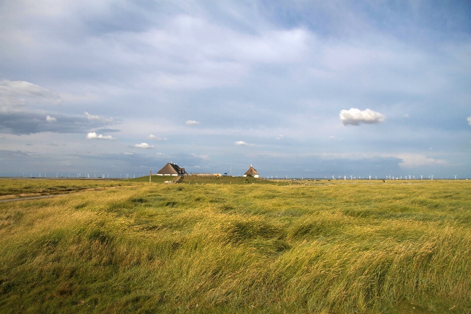 Landschaft meer küste natur