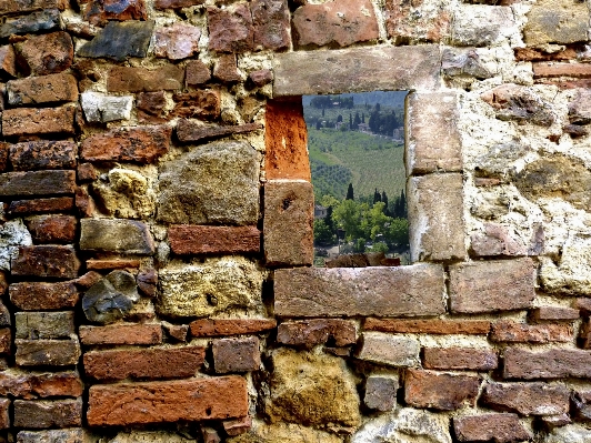 Landscape rock wood texture Photo