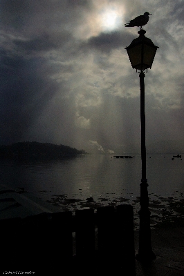 Landscape sea light cloud Photo