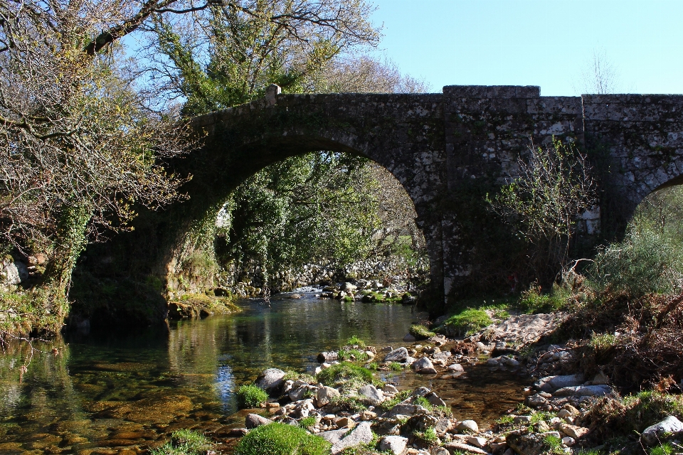 Puente flor río stream