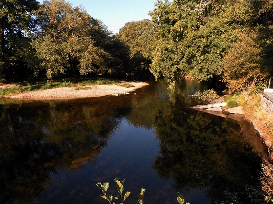 Landscape tree water nature Photo