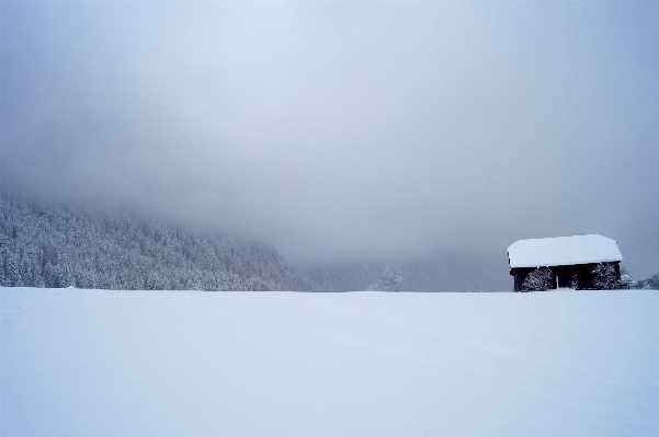 Schnee winter morgen wetter Foto