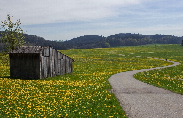 Landscape grass road field Photo