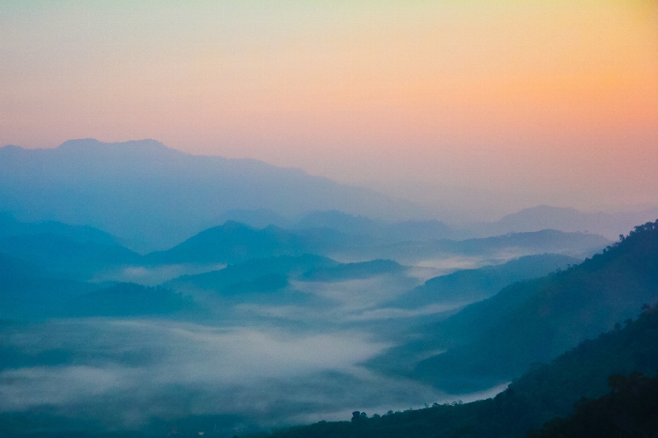 風景 自然 地平線 山