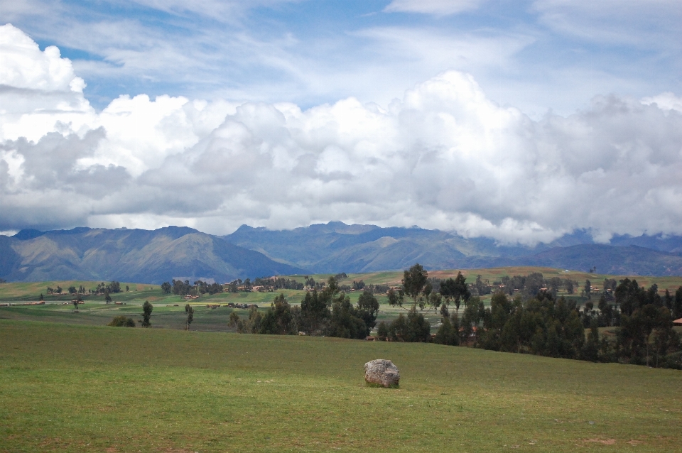 Paisagem natureza grama horizonte