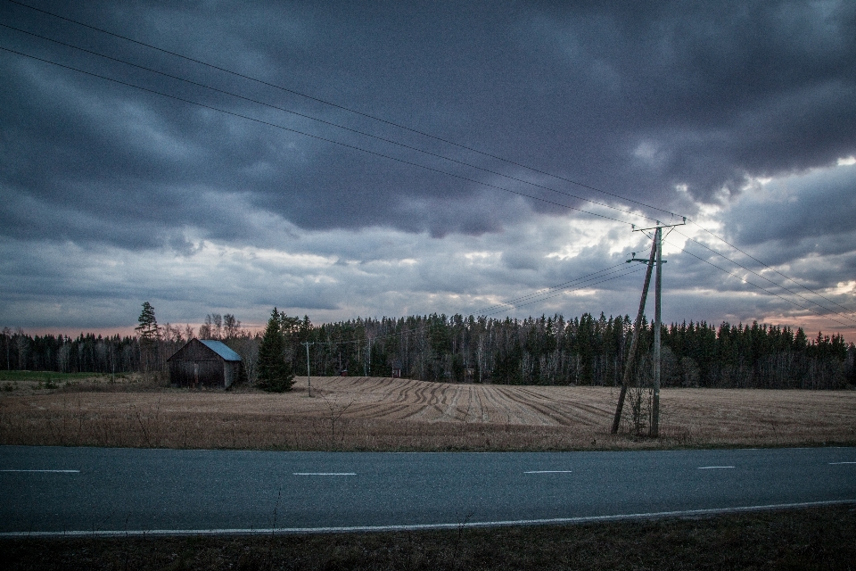 Landscape nature grass horizon