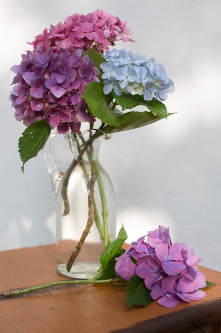 Nature blossom plant bunch