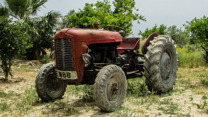 Foto Traktor bidang peternakan antik