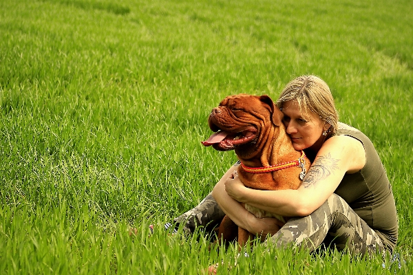 Nature grass person woman Photo