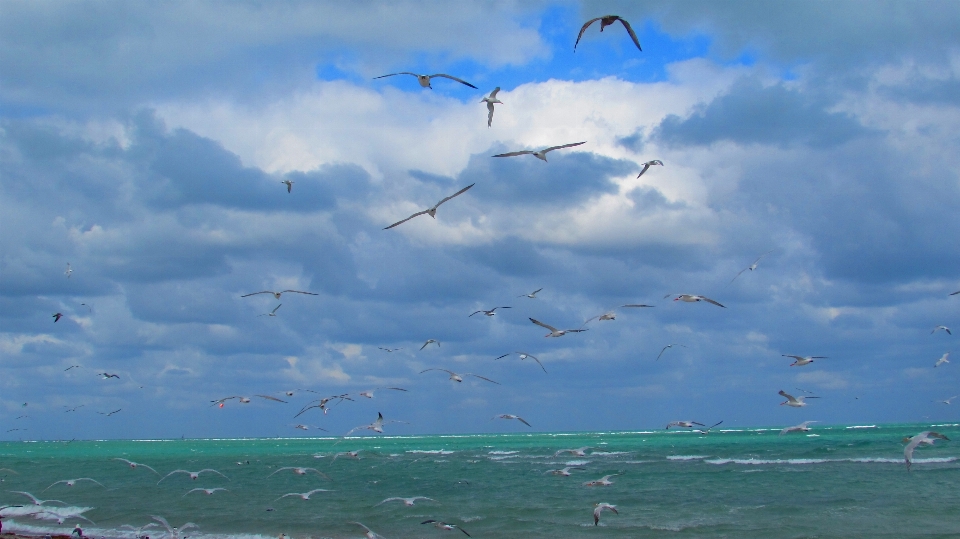 海滩 海 自然 海洋