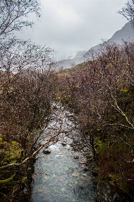 Landscape tree water nature Photo