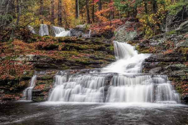 Water nature forest waterfall Photo