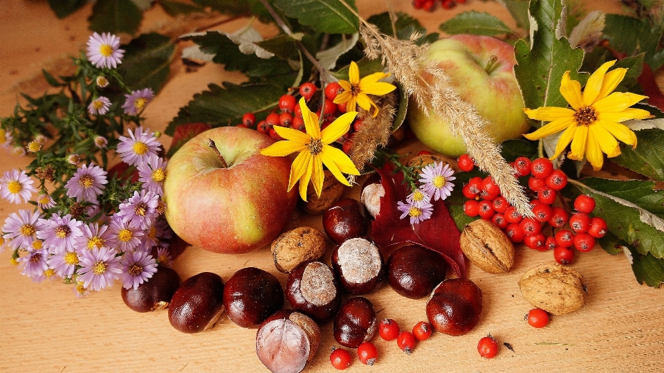 Nature plant fruit flower