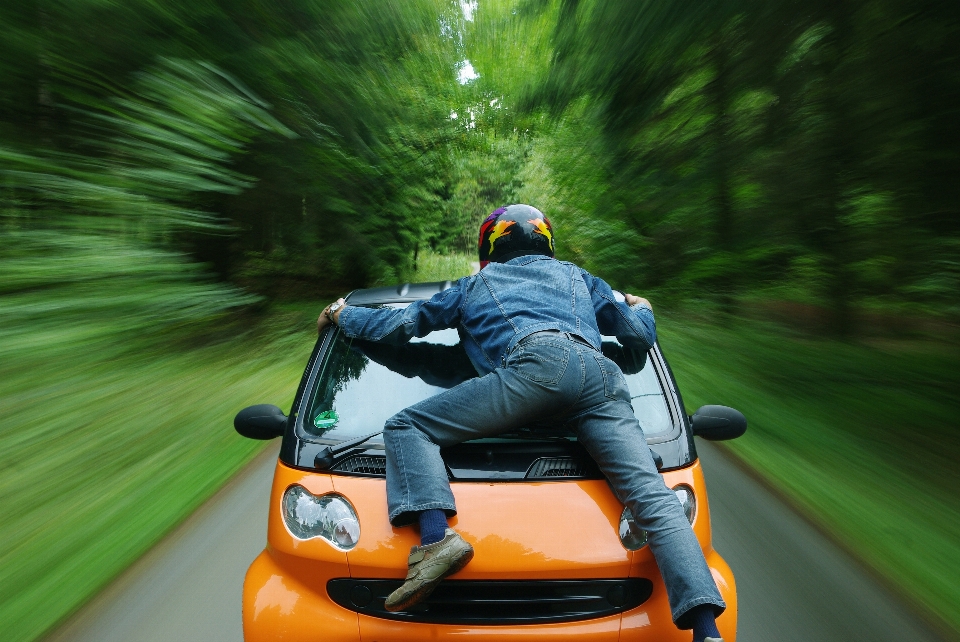 Nature person road traffic