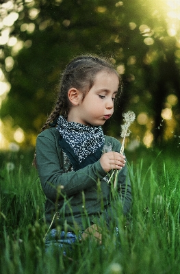 Nature forest grass person Photo