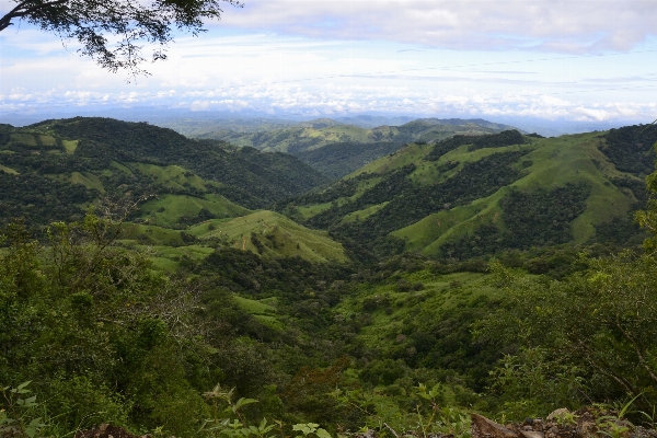 Foto Paisaje naturaleza bosque desierto
