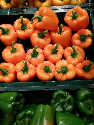 Plant fruit orange food Photo