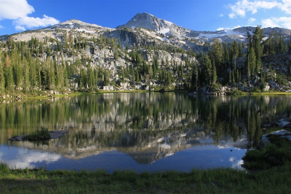 Landscape tree water nature Photo