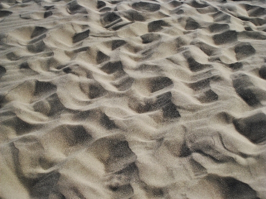 Nature sand rock wood Photo