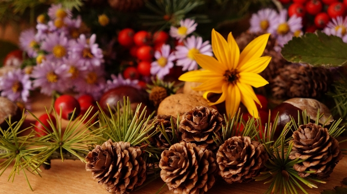 Baum natur anlage frucht Foto