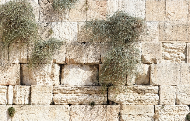 Rock building wall monument Photo